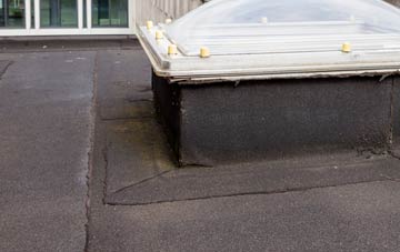 disadvantages of Skirethorns flat roofs